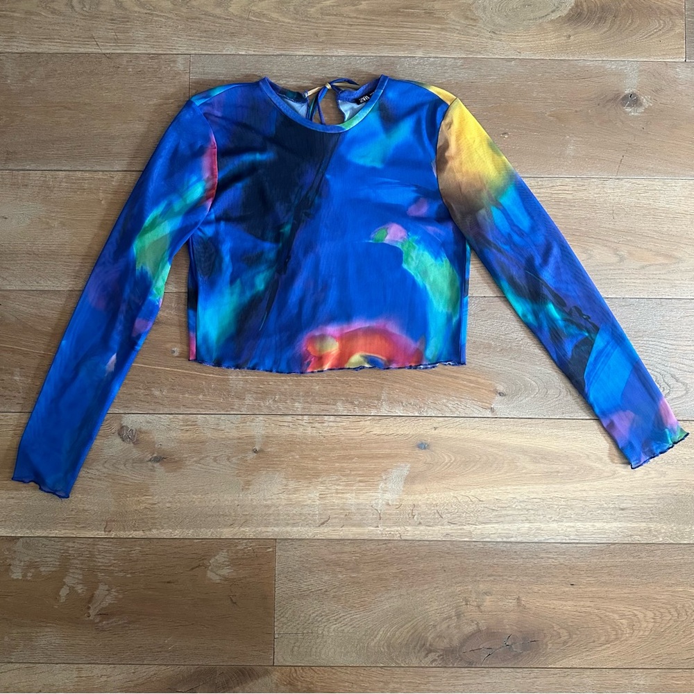 Zara Multi-Color Mesh Top